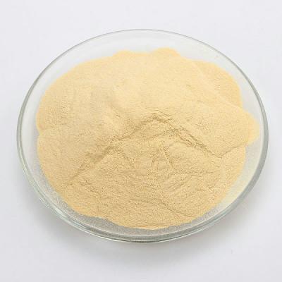 China Industrial Fermentation Soybean Based Plant Peptone Powder Non GMO for sale