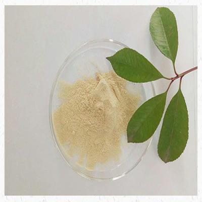 China Bacteriological Yellow Soy Peptone Powder Soy Meal Powder GMO FREE for sale