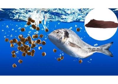 China GMP+ Aquafeed Pellet Binder Healthy Chicken Blood Powder 23099090 for sale