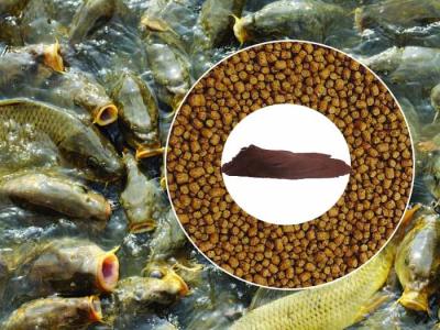 China Polvo digestible GMP+ del glóbulo de los añadidos de la alimentación de los pescados de la fuente de la proteína en venta