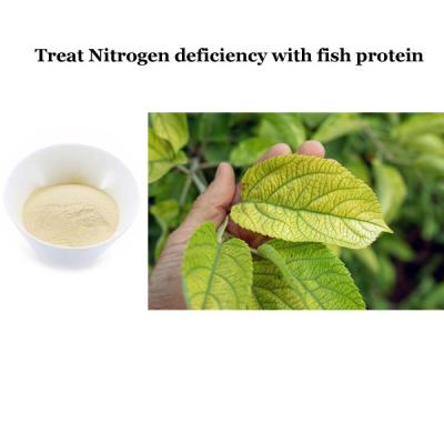 China Easy To Apply Fish Protein 100% Pure Organic Fertilizer Plant Biostimulants for sale