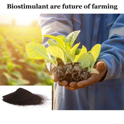 China Van dieren afgeleide biostimulant Aminozuurmeststof beter dan zeewierextract Te koop