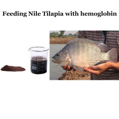 China Polvo secado por aspersión de la hemoglobina de la fuente de proteína animal dietética para la tilapia del Nilo en venta