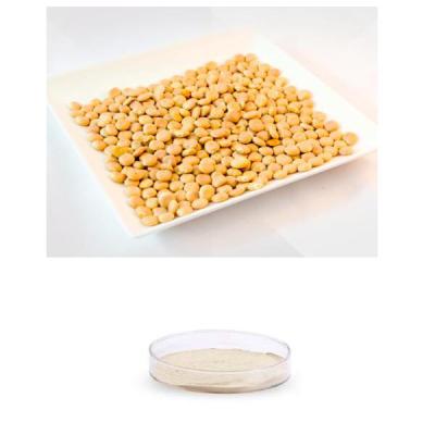 China Non GMO Enzymatic Digest Peptone From Soybean For Industrial Fermentation for sale