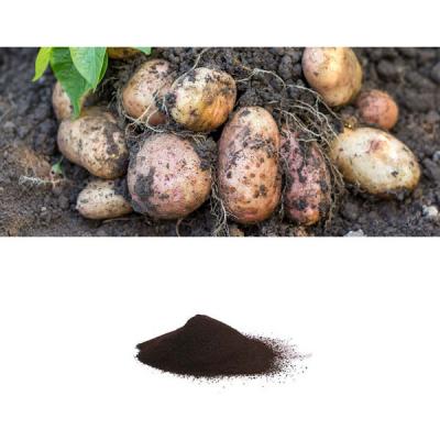 China Agriculture Biostimulant Amino Acids Powder Organic Fertilizer for sale