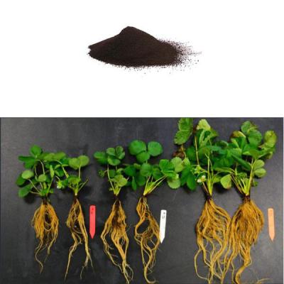 China Amino Acids Powder Organic Fertilizer Free Of Animal DNA Agriculture Biostimulant for sale