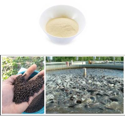 China Antibacterial Fish Protein Hydrolysate Powder Function Immune Stimulating for sale