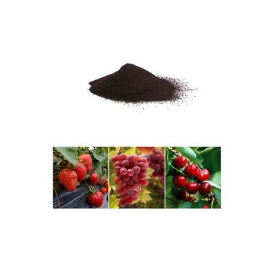 China Most Nutritional Formula 100% L-Type Amino Acids Powder Natural Growth Regulator for sale