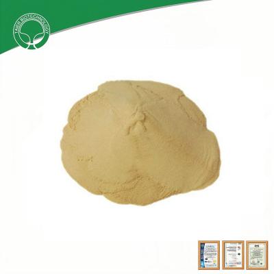 China Allergic Hypoallergenic Protein Hydrolysate Powder Light Yellow Amino Acid Content ≥80% for sale