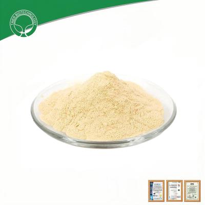 China Amino Acid Profile Complete Protein Hydrolysate Powder for Biological Protease Hydrolysis for sale