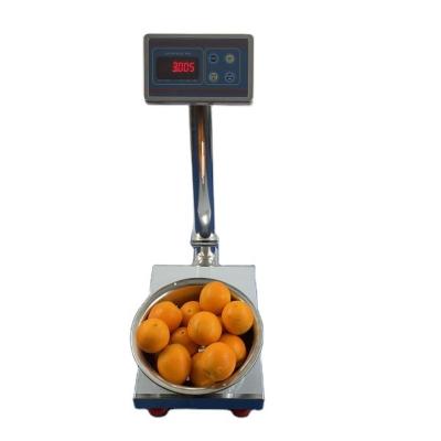 China 201 Stainless Steel Tcs Electronic Platform Scale With Waterproof Stainless Steel Indicator for sale