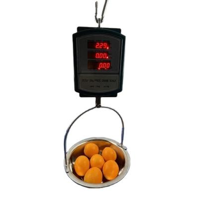 China With Controller Double Sides Fish Vegetable Waterproof Commercial High Precision Weigh 30kg Hanging Digital Electronic Price Scale With Controller for sale