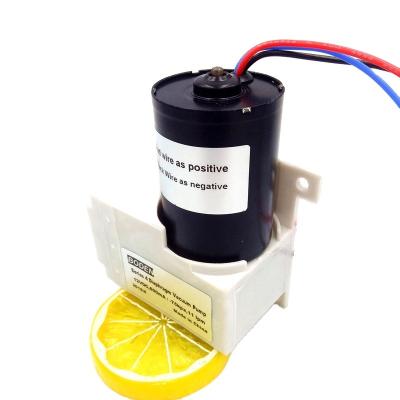 China Automotive Industry Miniature Diaphragm Air 12v Quiet Vacuum Piston Brushless DC Pump With PWM for sale