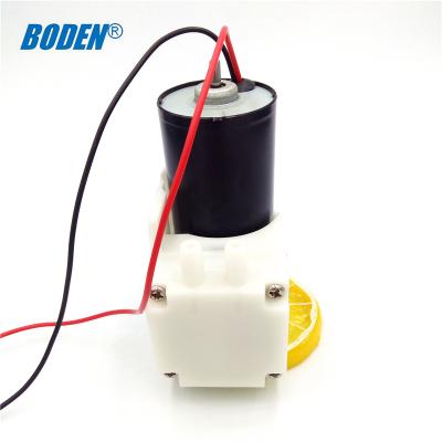 China Organic Fuel Industry Small Low Pressure Mini Diaphragm DC 24v Battery Operated Water Pump for sale