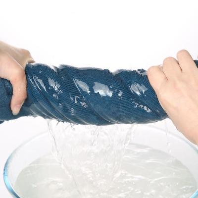 China Compressed Soft Lint Free Microfiber Paint Free Water Absorbing Cloth For Car Cleaning Thickened Car Wash Towel for sale