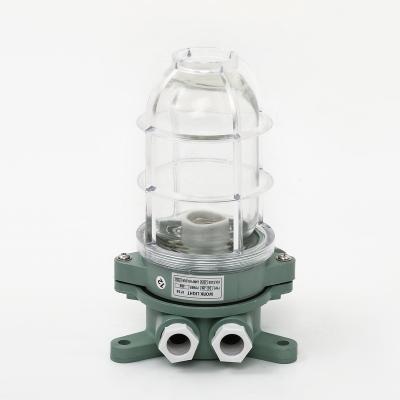 China Top Quality Widely Used Marine Work Light Boat Pendant Light for sale