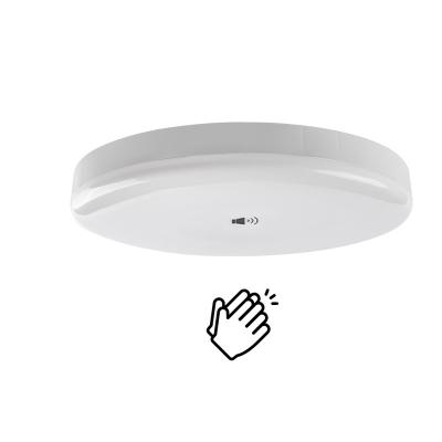 China Outdoor Mounted Low Price For Sale Housing Led Ceiling Lamp Smart White Led Circuit Ceiling Lighting for sale