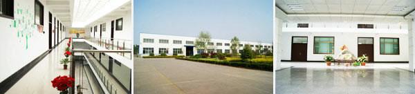 Verified China supplier - chizhou flydragon machinery trading co., ltd