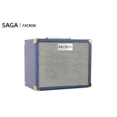 China Wholesale Hot Selling Cheapest 15w Acoustic Guitar Amplifier from GUITAR Saga FACRON China for sale