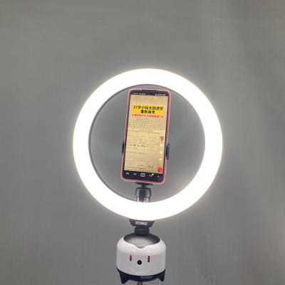 China Manufacture Wholesale Mobile Phone Led Ring Fill Light Selfie Stick 360 Rotation Tracking Eu for sale