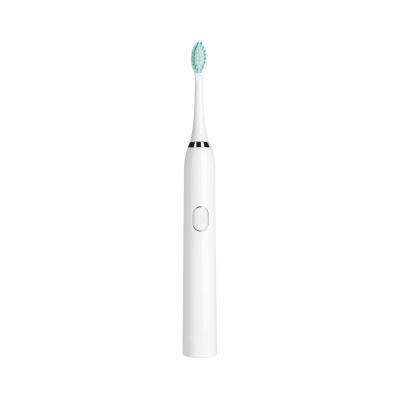 China High Quality Sonic Electric Toothbrush Waterproof Ipx 7 Battery Powerful Rotating Electric Toothbrush Adult Private Label for sale