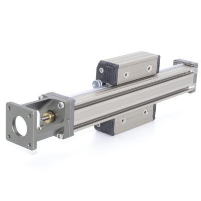 China food & New Design Factory Durable Steel Beverage Rail Ball Screw Linear Guide for sale