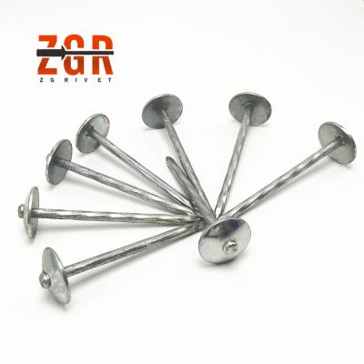 China Concrete Cap ZGRTianjin Construction Nails Iron Galvanized Roofing Head Nail Umbrella Nails for sale