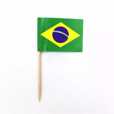 China Health Care Institute Brazilian Mini Small Cupcake Topper Flags of Brazil Toothpick Flag perfect for sandwiches, deserts, drinks and more. for sale