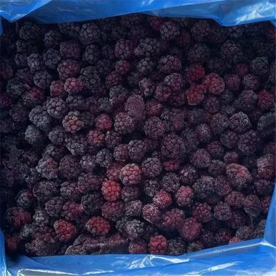 China Blackberry hot sale of various DEEP FROZEN frozen blackberries in bulk price hot sale cheap low best for sale