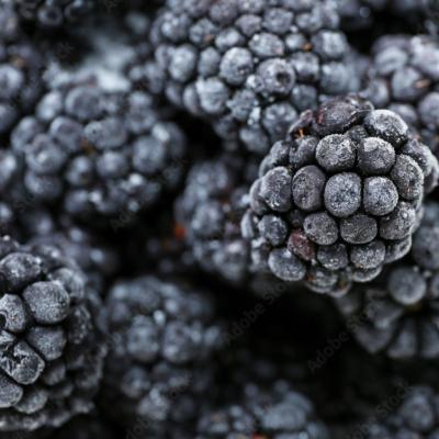 China Hot Selling Natural Clean Healthy Frozen Fresh Delicious Blackberries FROZEN for sale