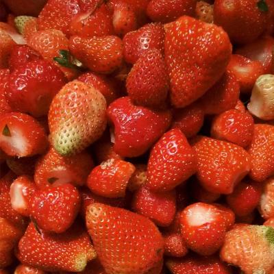 China Buy IQF FROZEN Strawberries For Juice/Jam Variety Hongyan Good Prices Bulk Packing for sale