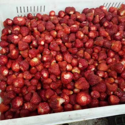 China Organic and Conventional Frozen Strawberries FROZEN Whole Ingredient Fruit Juice or Puree Grade for sale