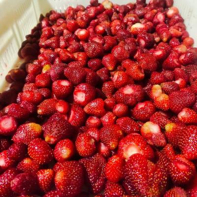 China Whole Variety Honey of Different Frozen Frozen Strawberries FROZEN A Grade for sale