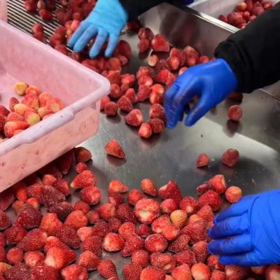 China A Grade FROZEN Frozen Strawberry Whole Fruits Frozen Honey for sale