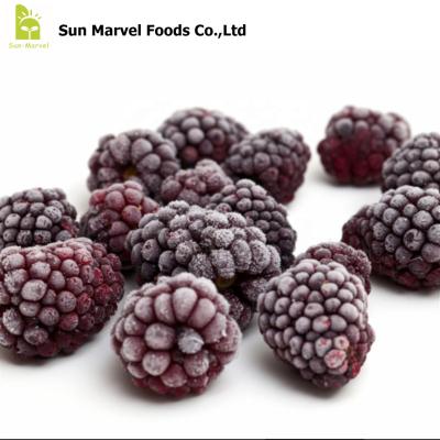 China Best Price FK-2225 FROZEN Certified High Value Hot Frozen Blackberries Quality Selling Bulk Pack for sale