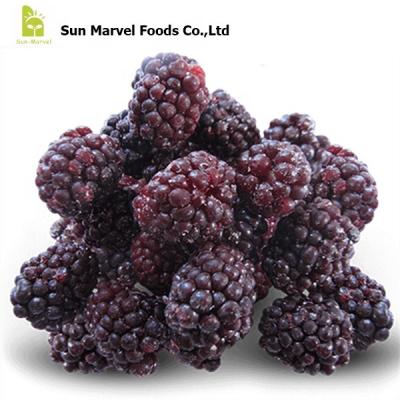 China FK-2224 New IQF Culture Bulk Frozen Wild Organic Cultivated New Blackberries for sale