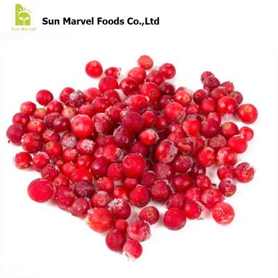 China FL-2217 IQF FROZEN bulk organic frozen wild lingonberry berry 10KG frozen price for sale