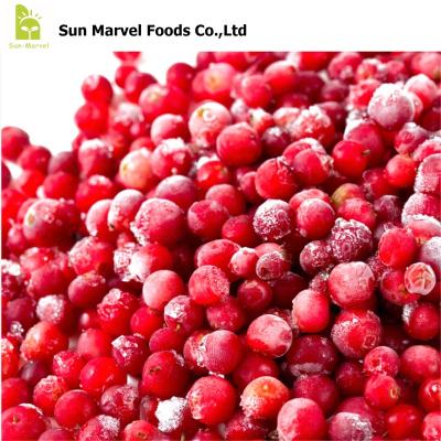 China FL-2218 FROZEN Big Value IQF Frozen Lingonberry Volume / Small Pack Frozen Fruits For Retail Sales With OEM for sale