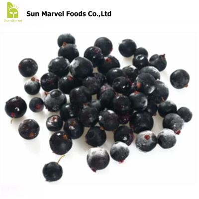 China FC-2210 FROZEN Fresh Frozen Blackcurrant Berries Bulk 10kg High Quality Ribes Nigrum A Grade for sale