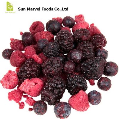 China FM-2211 IQF FROZEN bulk frozen mixed berries mix fruits 1KG for sale