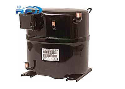 China R407 230V 3HP Compressor de Bristol H22J383DBLAP à venda