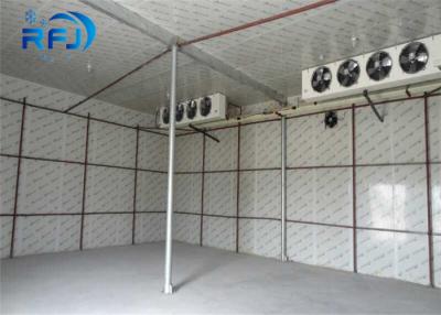 Cina Walking Deep Freezer Commercial Cold Room 380V/3P/50Hz Cooler For Sea Food in vendita