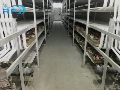 Cina Heat Insulation Industrial Cold Room -60~-0 Degree Temp For Meat / Fish Storage in vendita