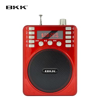 China Good Quality Portable Popular Radio Voice Amplifier with U Disk (K276B) for sale