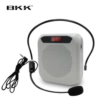 China Portable Speaker Popular Microphone Microphone Voice Amplifier for Teachers (K269BT) for sale