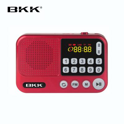 China Portable Rechargeable Digital Display FM Radio with USB (S99) for sale