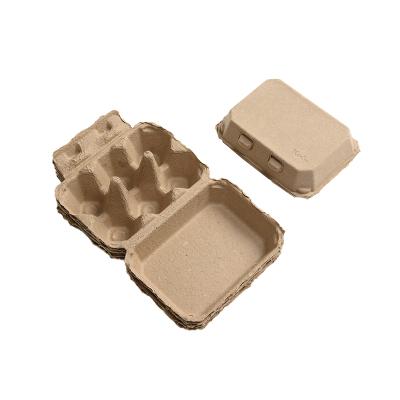 China Environmental Protection Lower Factory Price 6 8 10 12 30 Egg Holder Paper Pulp Egg Tray Boxes for sale