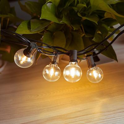 China Vintage Edison Factory High Quality Warm White Electric Fairy Lights with 25 Vintage Bulb String Glass Lights for sale