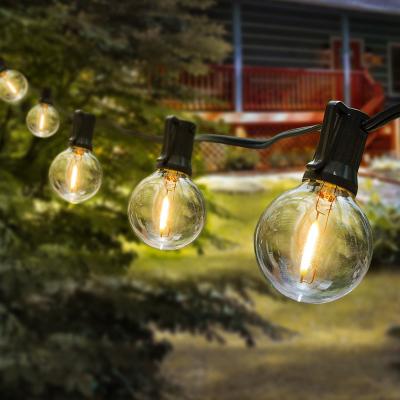 China Factory Direct Selling High Quality Vintage Edison Globe Outdoor Led With Male And Female Connector String Lights for sale