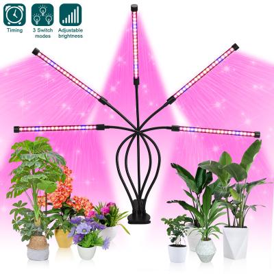 China FLOWER New Fashion Bar Plant LED Grow Light For Plant Supplier for sale